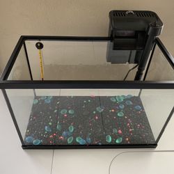 10 Gallon Fish Tank + Accessories 