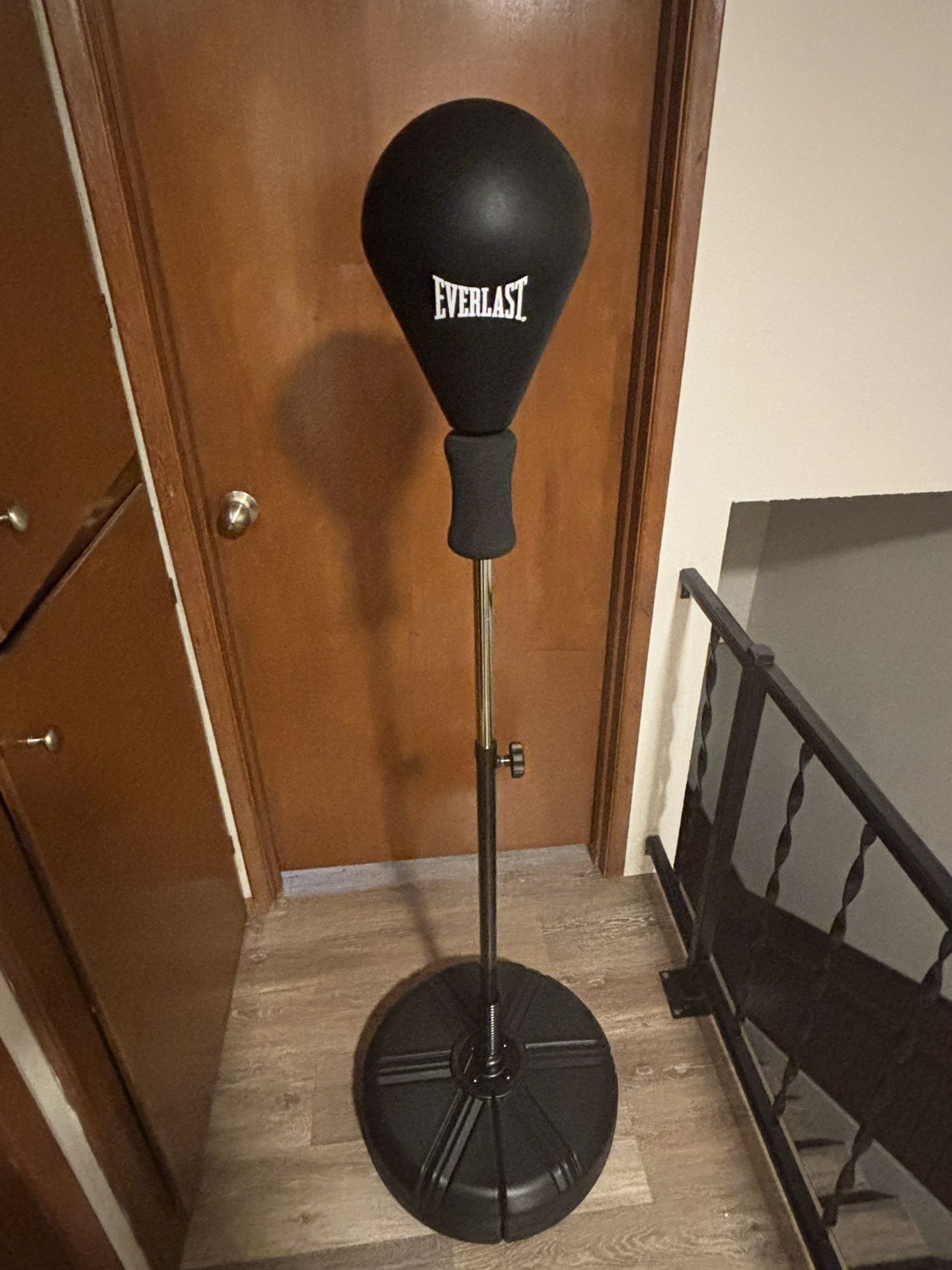 Everlast Boxing Bag/ Reflex Bag And Boxing Gloves