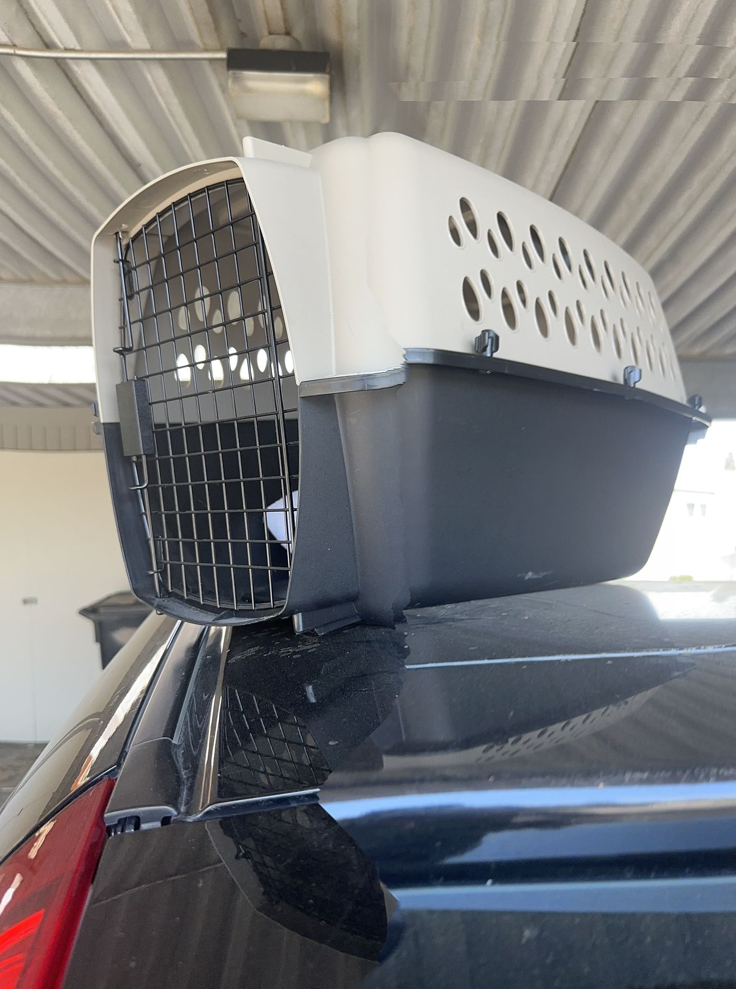 Dog Or Petmate