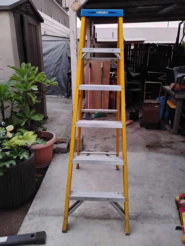Ladder 6'