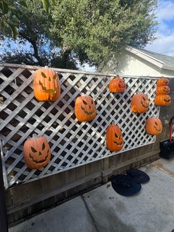 8 carved pumpkins