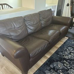 Sleeper Couch -$50