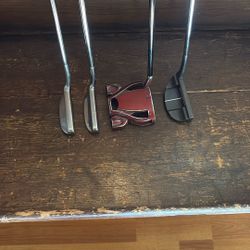 Assorted Putters #4