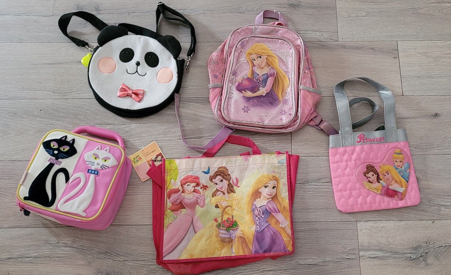 Disney Princess, Panda & Cat Lunchbox