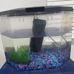 Aquarium Set