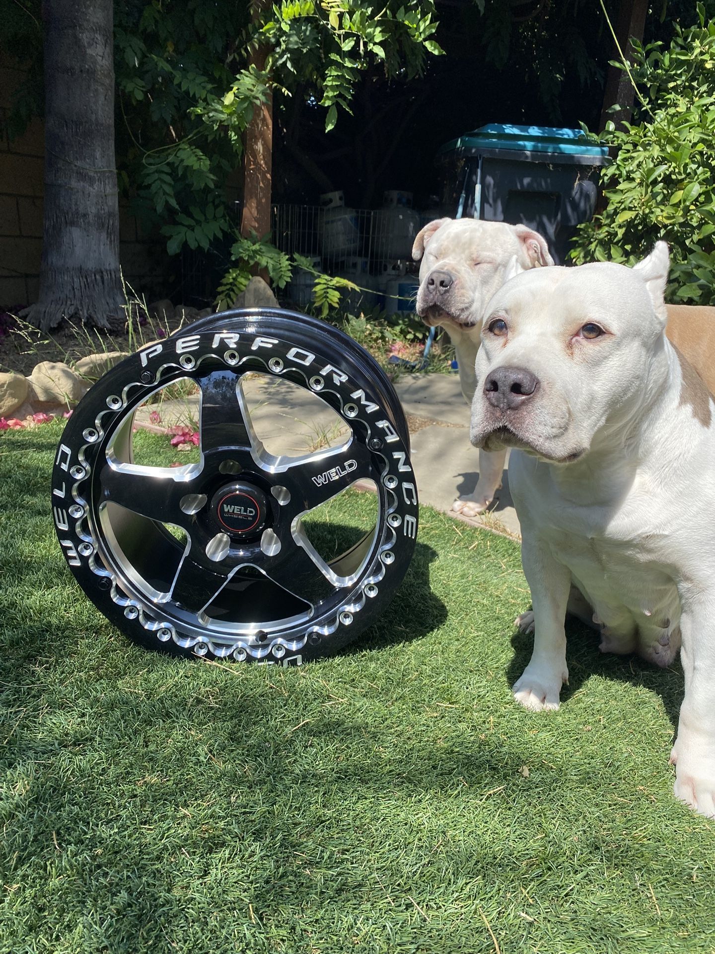 WELD Ventura Beadlock Wheels 17x10