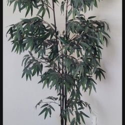6ft bamboo tree in excellent condition 