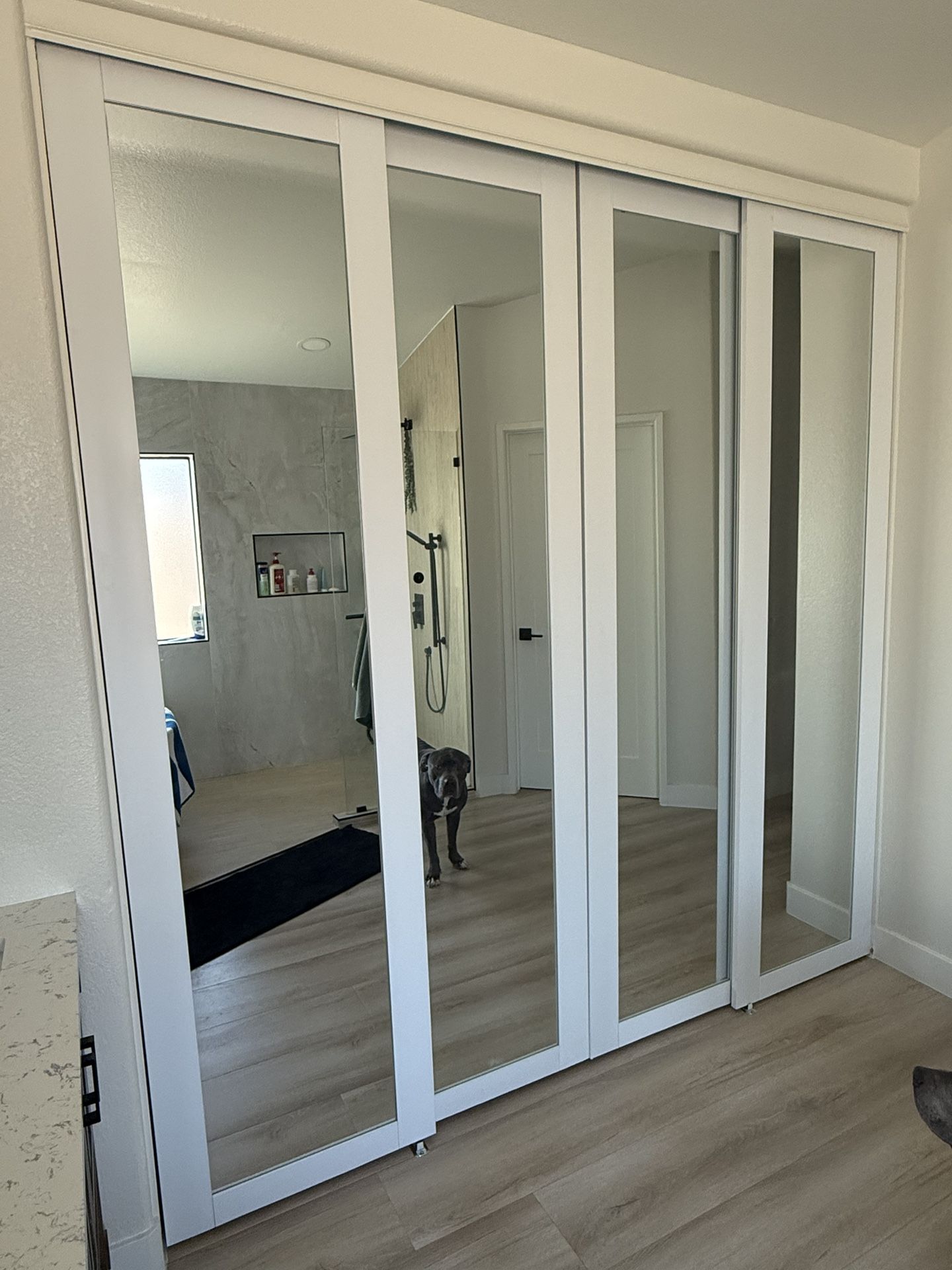 Closet Doors