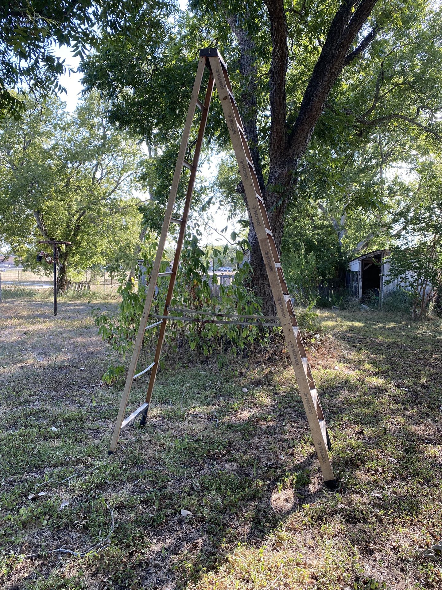 11 Foot Husky Ladder