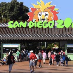 SAN DIEGO ZOO TIX **HALF OFF**