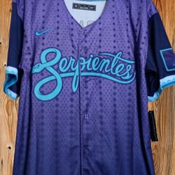 Diamondbacks Jersey 