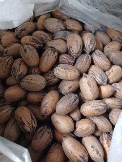Texas Pecans
