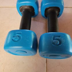 Dumbbells Dumbbell Weight SET 