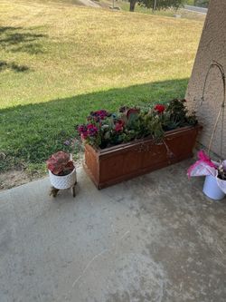 Large Outdoor Wooden Succulent Box