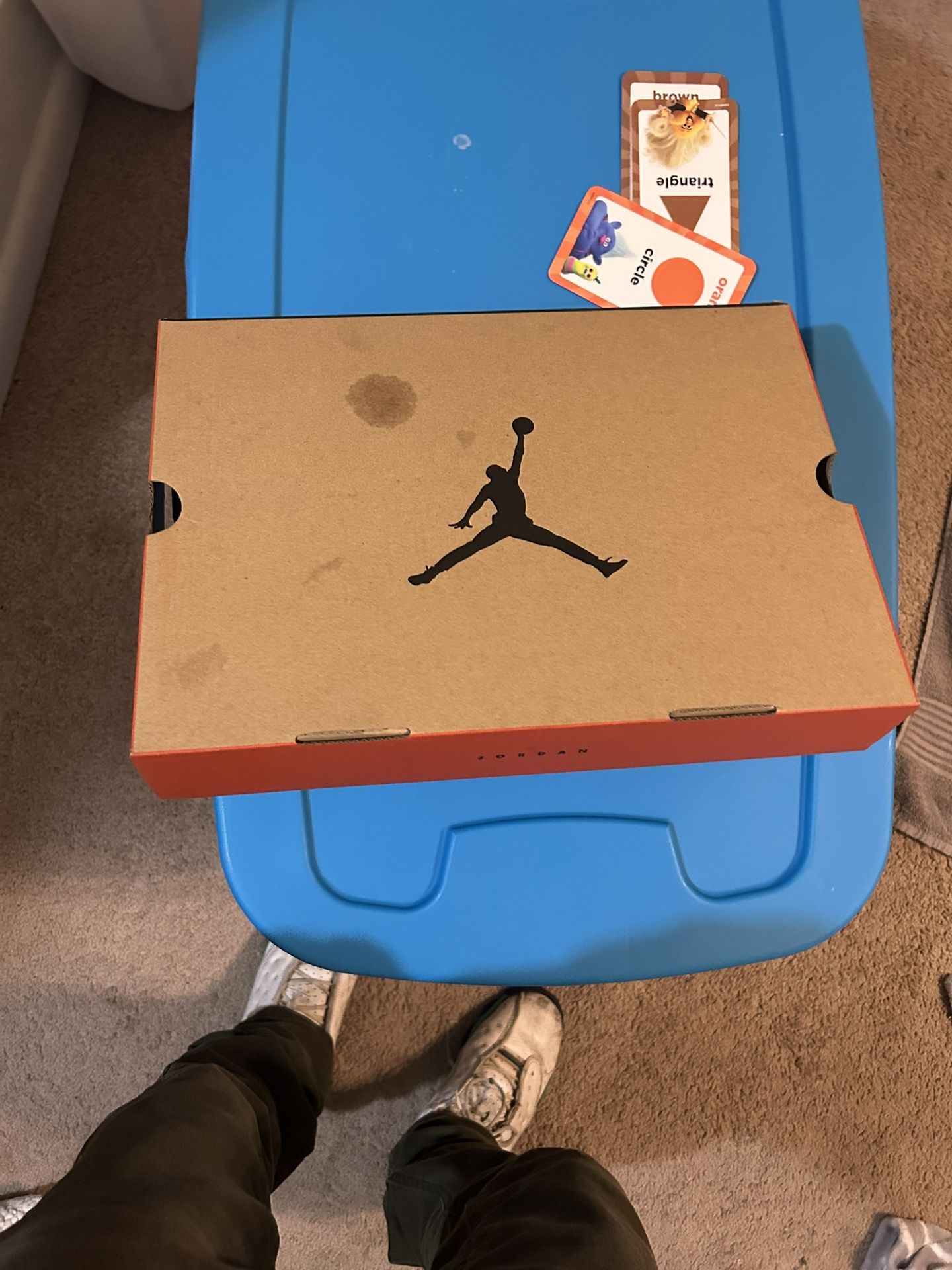 Air Jordan 12