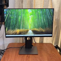 22” Dell Widescreen Monitor 