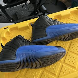 Air Jordan 12 Blue and Black for sale