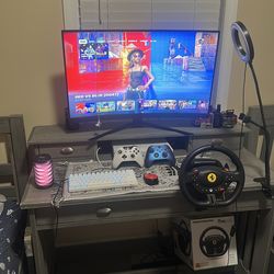 Full gaming setup