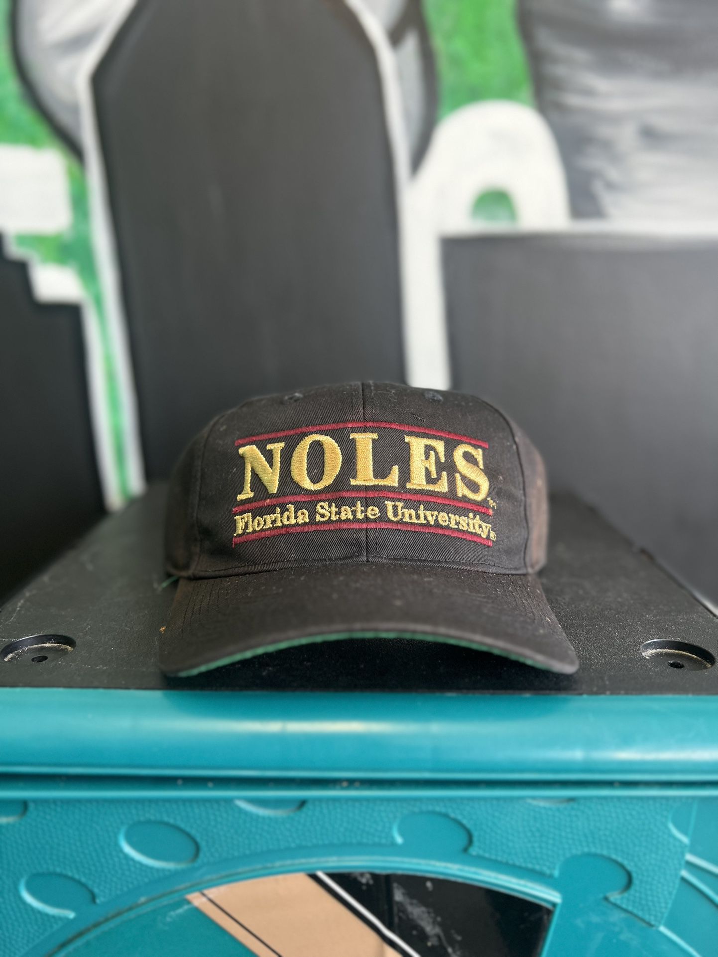 Florida St Seminoles Vintage Hat Noles