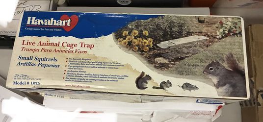 Squirrel Trap