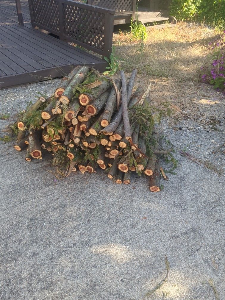 Firewood