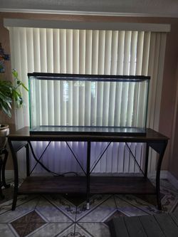 55 Gallon Fish Tank With Stand
