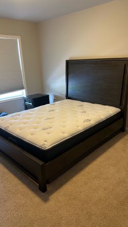 Beautyrest Breakwater Plush + Box Spring - Queen