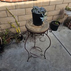 Plant Stand And Succulents 