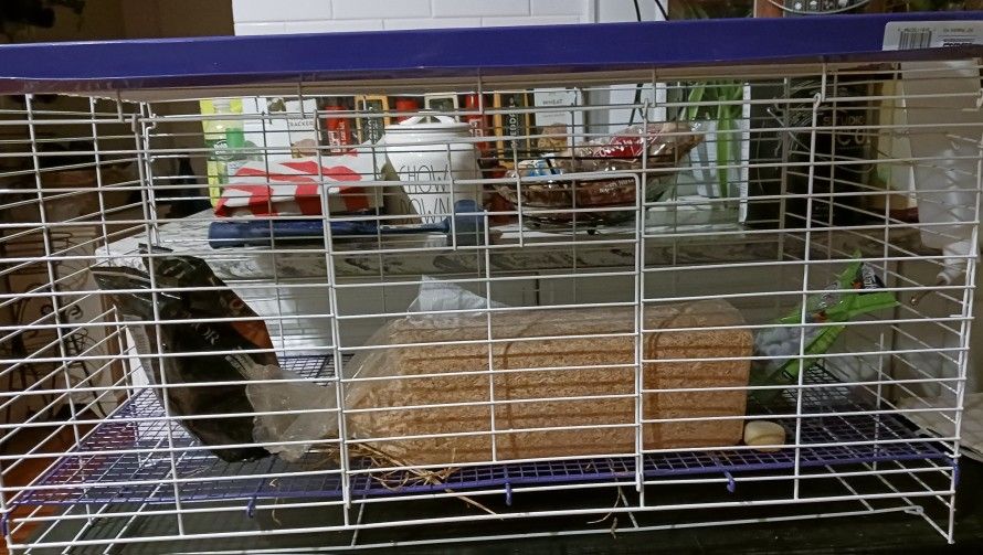 Small Animal Cage (Ferret, Bunny, Chinchilla)