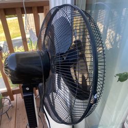 Stanfing Fans 