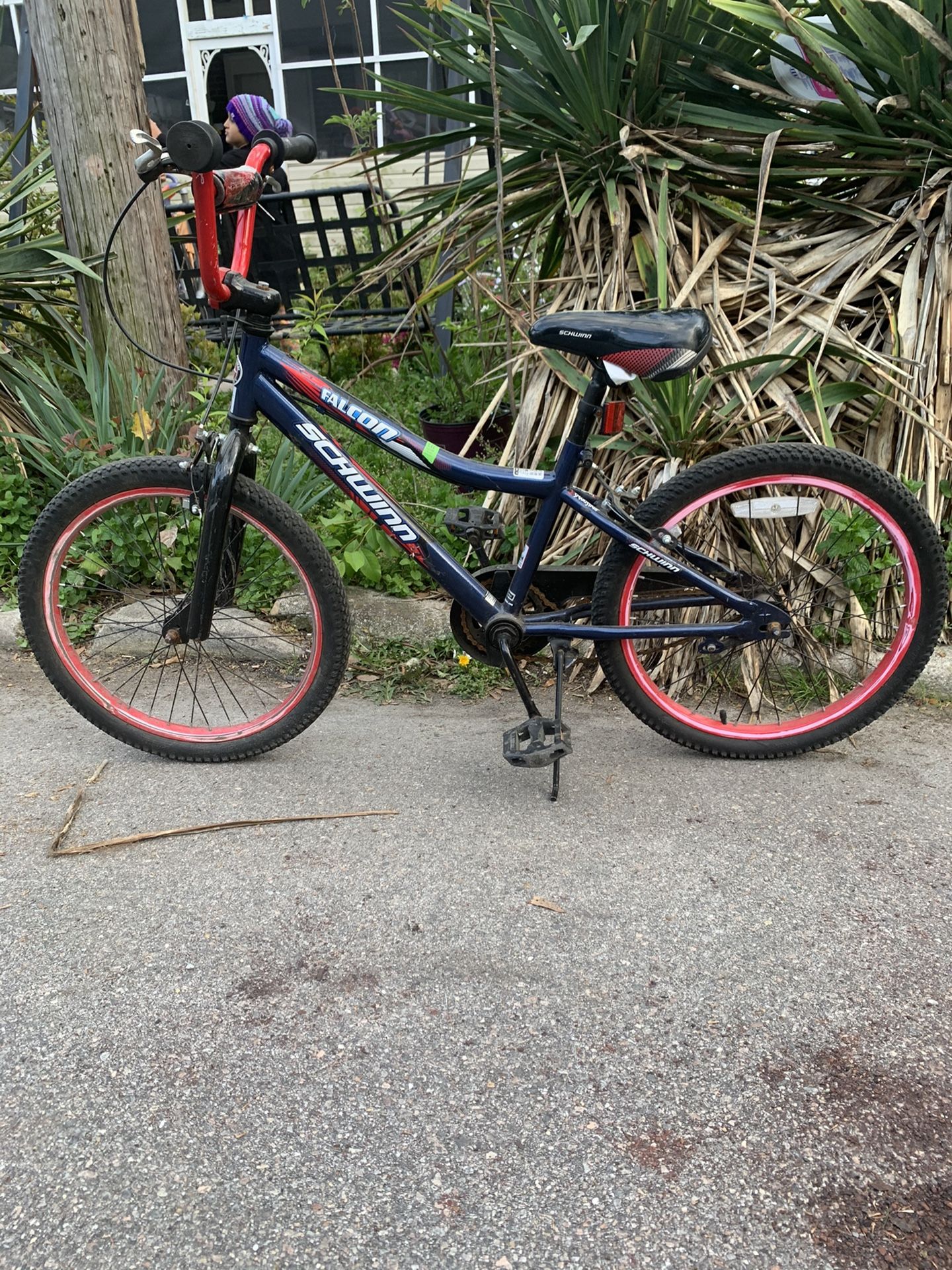 Bicycle Beautiful Size 20