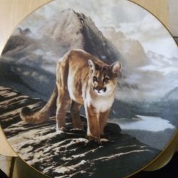 The Cougar Plate