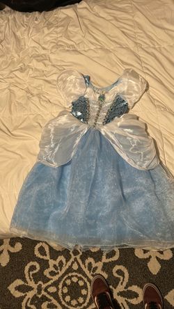 Cinderella costume