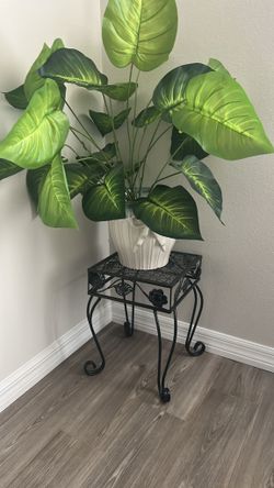 Plant With Metal Stand
