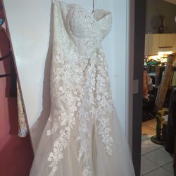Brand New ,Tag On, David's Bridal Wedding Dress