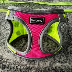 Mercano Hot Pink Bright Green Mesh Dog Harness & Leash Set 