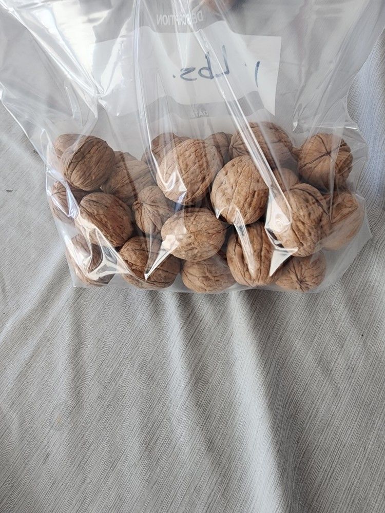 English Walnuts Pre-packaged 1lbs.