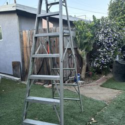 Ladder Escalera 