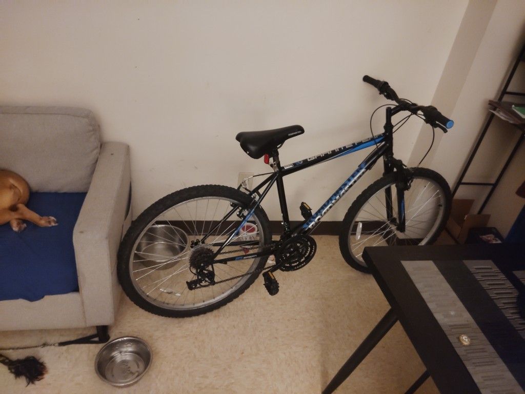 Roadmaster Mountain Bike 