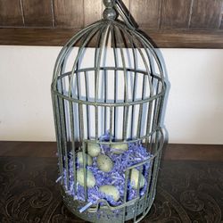 Decorative Bird Cage W/Eggs
