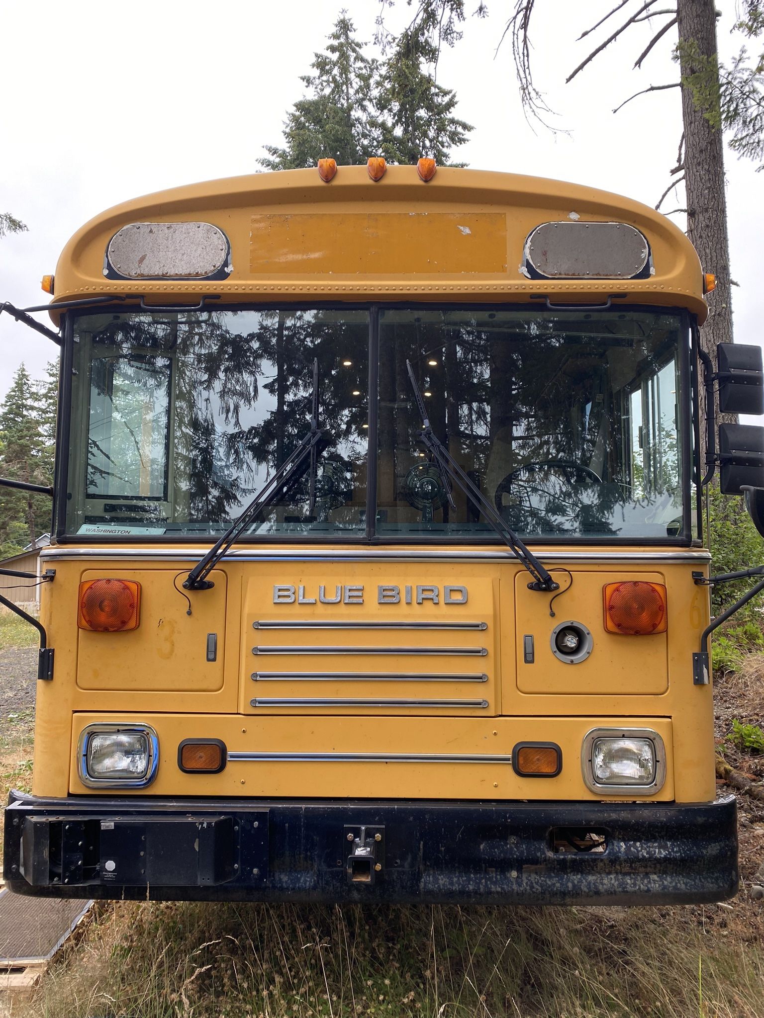 Converted 1999 Bluebird Skoolie Bus