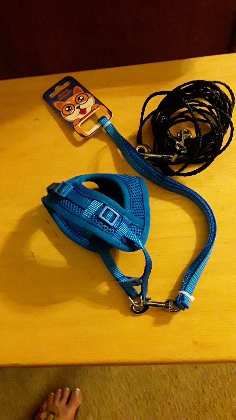 Cat Harness w/Lead & Cat Tie Out