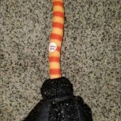Musical Dancing Broom 