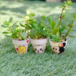 Cute Succulent Gifts
