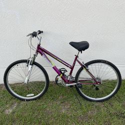 Roadmaster Mountain Bike