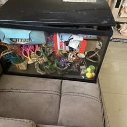 10 Gallon Fish Tank 