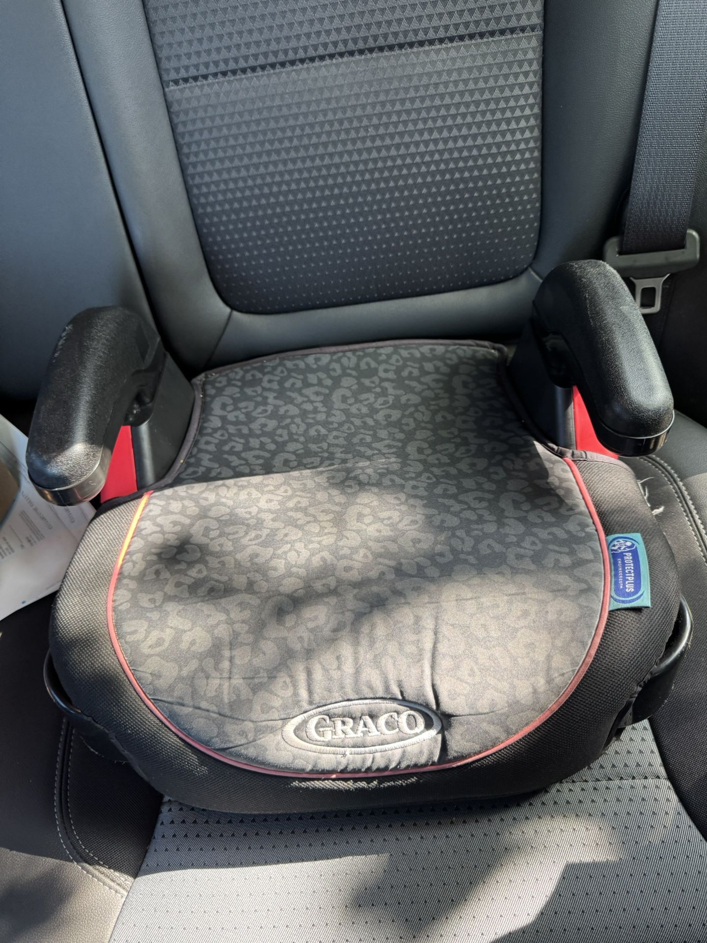 Graco Booster Seat