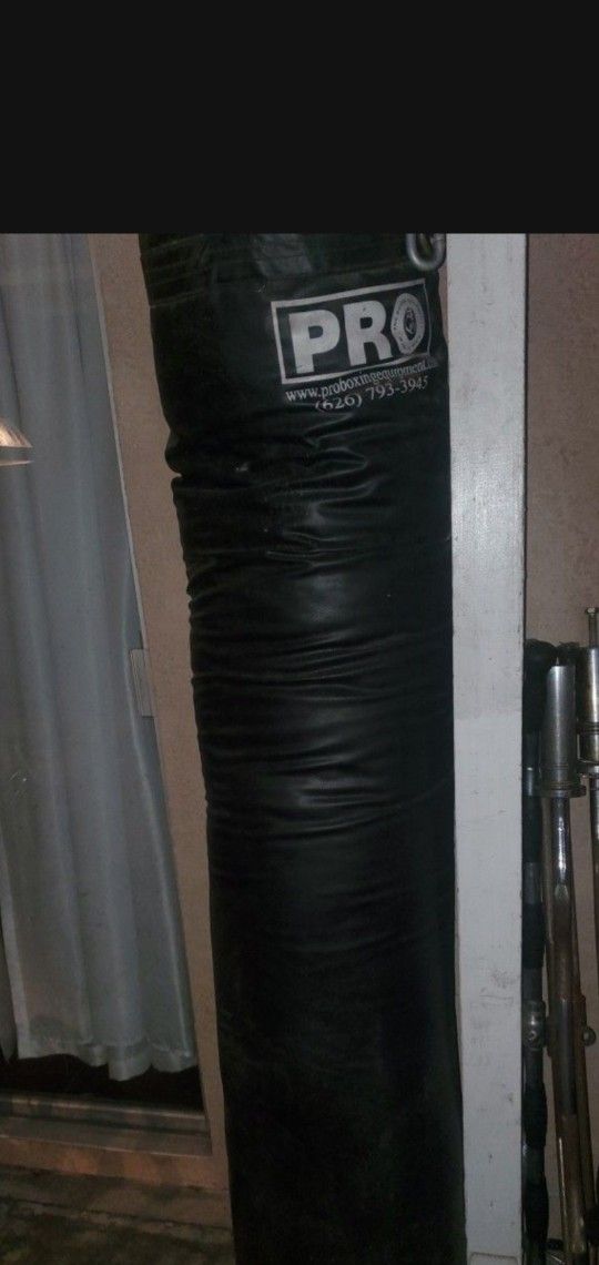Punching Bag 