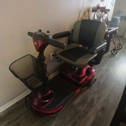 Electric Scooter Pioneer 1