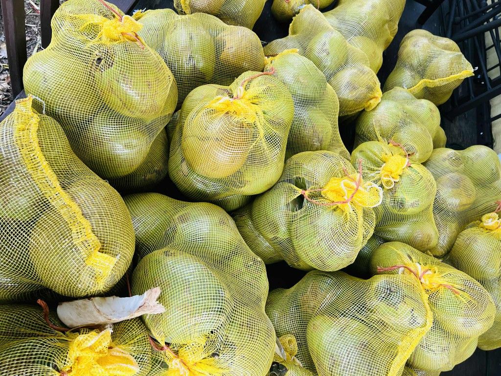 Cocos Frescos En Venta